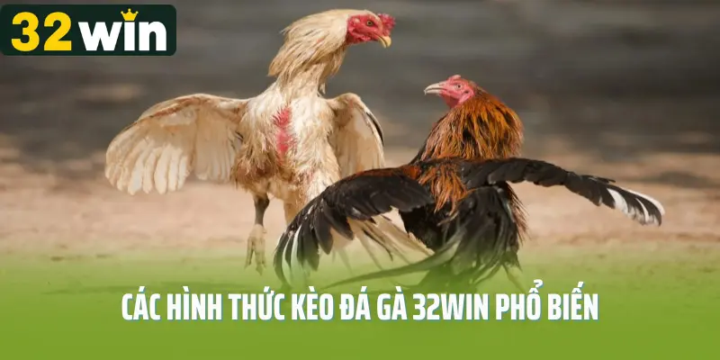 Các Loại Hình Đá Gà Có Tại 32win